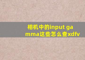 相机中的input gamma这些怎么查xdfv